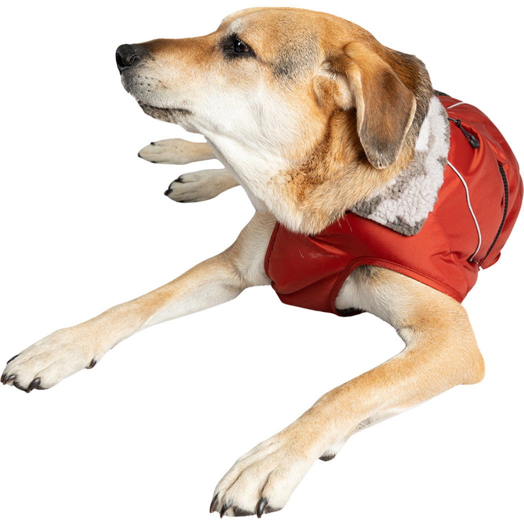 2026 Dryrobe Dog Coat V3DRDC - Burnt Orange